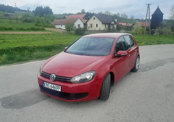 małopolskie Volkswagen Golf cena 22800 przebieg: 232677, rok produkcji 2009 z Pabianice